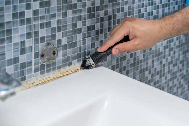 Best Mold Testing and Inspection Services in Watertown, MN